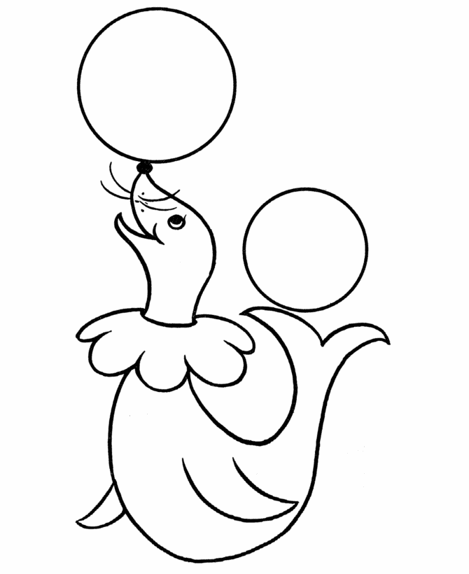 Plansa de colorat cu Foca 7 30